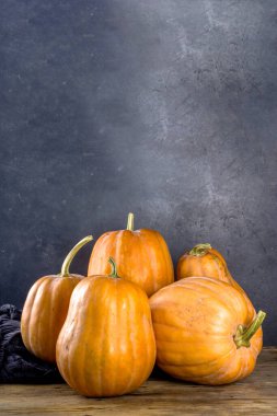 Bir grup olgun sonbahar balkabağı, geleneksel, rahat bir ev ahşap arka plan kompozisyonu sonbahar hasat satışı, Şükran Günü tatil geçmişi