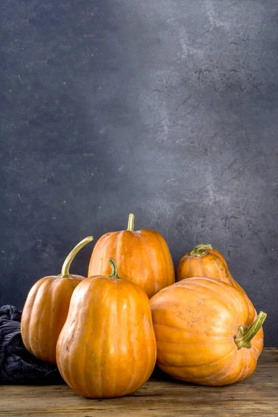 Grupo Calabazas Maduras Otoño Una Casa Acogedora Tradicional Madera Composición — Foto de Stock