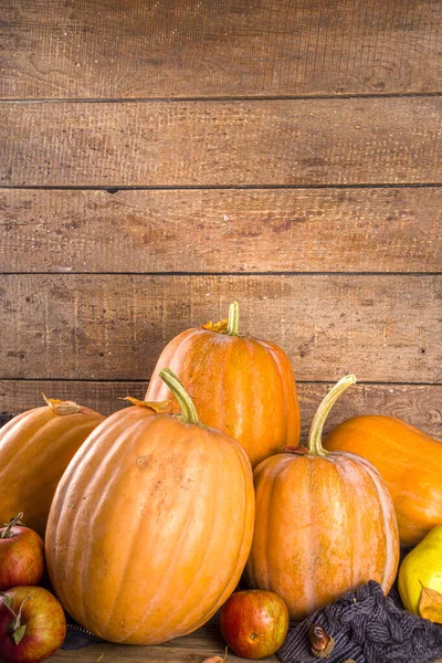 Grupo Calabazas Maduras Otoño Una Casa Acogedora Tradicional Madera Composición — Foto de Stock