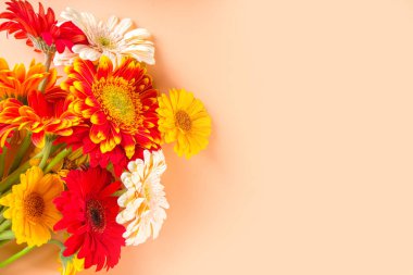 Renkli kırmızı sarı turuncu sonbahar çiçekleriyle bej rengi, koyu renkli arka planda yatıyordu. Parlak Sonbahar, Şükran Günü konsepti. Üst görünüm, alanı kopyala