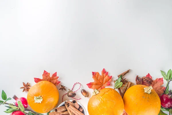 Herbstkomposition Grußkarte Zum Erntedankfest Kürbis Kochen Hintergrund Mit Herbst Festlichen — Stockfoto