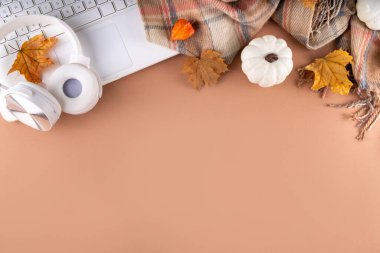 Dizüstü bilgisayarlı, güz yapraklı, balkabaklı ve ekoseli sıcacık bir sonbahar geçmişi. Sonbahar ofis işi, eğitim dairesi üst görünüm kopyalama alanı. Kadın elleri bej arka planda yukarıdan dizüstü bilgisayar kullanıyor