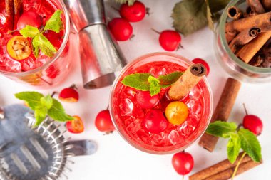 Sweet and sour fall seasonal alcohol hawthorn or rosehip cocktail, autumn berry mojito or margarita, spicy alcoholic drink with hawthorn or rosehip liquor, cinnamon, int crushed ice