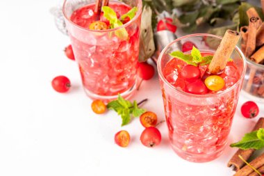 Sweet and sour fall seasonal alcohol hawthorn or rosehip cocktail, autumn berry mojito or margarita, spicy alcoholic drink with hawthorn or rosehip liquor, cinnamon, int crushed ice