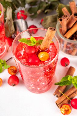 Sweet and sour fall seasonal alcohol hawthorn or rosehip cocktail, autumn berry mojito or margarita, spicy alcoholic drink with hawthorn or rosehip liquor, cinnamon, int crushed ice