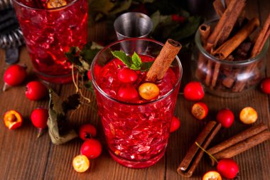Sweet and sour fall seasonal alcohol hawthorn or rosehip cocktail, autumn berry mojito or margarita, spicy alcoholic drink with hawthorn or rosehip liquor, cinnamon, int crushed ice