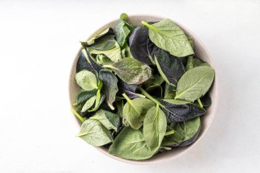 Taze organik bok choi, pak choi veya pok choi yemeye hazır. Brassica rapa. Asya salatası sebze yaprakları 