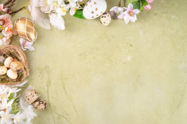 Paskalya yumurtaları ve bahar bitkisi arkaplanlı yuvaları. Kuş yuvaları, yumurtalar ve bahar ağacı çiçekleriyle bezenmiş Paskalya Açık Yeşil yassı. Kutlama kartı kopyalama alanı çerçevesi. 