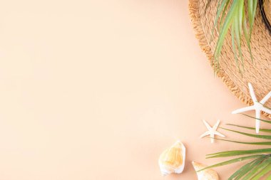 Yaz tatili ve hasır şapkalı, çantalı, terlikli, palmiye yapraklı, güneş gözlüklü, kameralı, deniz kabuklu ve okyanus yıldızlı tatil geçmişi. Plaj ve tropikal yaz tatili arka planı, üst görünüm kopyalama alanı