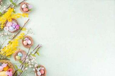 Paskalya yuvaları ve bahar çiçekli yumurtalar, Mutlu Paskalya bayramı tebrik kartları açık yeşil bahar arka planında yatıyordu, üst görünüm kopyalama alanı