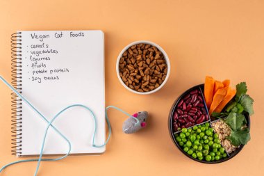 Vegan evcil hayvan yiyeceği, bitki bazlı köpek ve kedi maması bitkisel protein ve karbonhidrat kaynakları - tahıl, bakla, soya fasulyesi, sebze, meyve, yulaf, üst görünüm kopya alanı