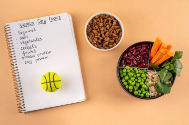 Vegan evcil hayvan yiyeceği, bitki bazlı köpek ve kedi maması bitkisel protein ve karbonhidrat kaynakları - tahıl, bakla, soya fasulyesi, sebze, meyve, yulaf, üst görünüm kopya alanı