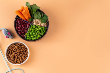 Vegan evcil hayvan yiyeceği, bitki bazlı köpek ve kedi maması bitkisel protein ve karbonhidrat kaynakları - tahıl, bakla, soya fasulyesi, sebze, meyve, yulaf, üst görünüm kopya alanı