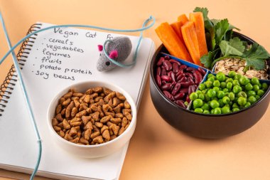 Vegan evcil hayvan yiyeceği, bitki bazlı köpek ve kedi maması bitkisel protein ve karbonhidrat kaynakları - tahıl, bakla, soya fasulyesi, sebze, meyve, yulaf, üst görünüm kopya alanı