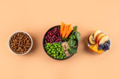 Vegan evcil hayvan yiyeceği, bitki bazlı köpek ve kedi maması bitkisel protein ve karbonhidrat kaynakları - tahıl, bakla, soya fasulyesi, sebze, meyve, yulaf, üst görünüm kopya alanı