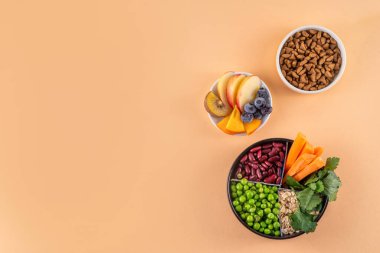 Vegan evcil hayvan yiyeceği, bitki bazlı köpek ve kedi maması bitkisel protein ve karbonhidrat kaynakları - tahıl, bakla, soya fasulyesi, sebze, meyve, yulaf, üst görünüm kopya alanı