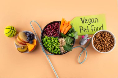 Vegan evcil hayvan yiyeceği, bitki bazlı köpek ve kedi maması bitkisel protein ve karbonhidrat kaynakları - tahıl, bakla, soya fasulyesi, sebze, meyve, yulaf, üst görünüm kopya alanı
