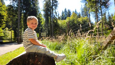 Doğal gün ışığı portresi, orman arka planı, sıcak tonlar. Yüksek kalite fotoğraf