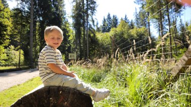 Güneşli bir günde ağaçların üzerinde oturan gülen bir çocuk. Yüksek kalite fotoğraf