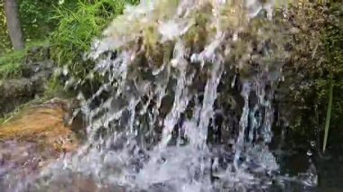 Yosunlu kayaların üzerinden akan taze dağ pınarı. Makro su, doğal ışık, yüksek çerçeve berraklığı. Yüksek kaliteli FullHD görüntüler