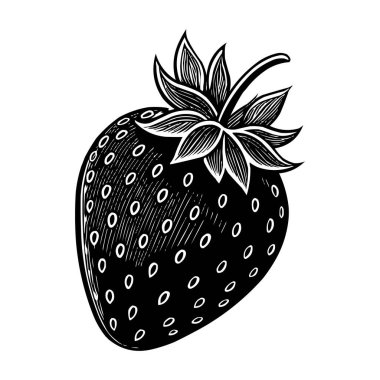 Siyah ve Beyaz Çilek Vektörü İllüstrasyon Vintage İşleme Biçimi