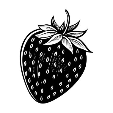 Siyah ve Beyaz Çilek Vektörü İllüstrasyon Vintage İşleme Biçimi