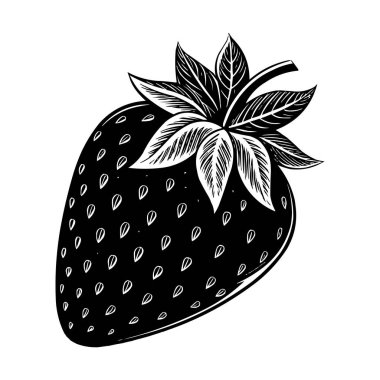 Siyah ve Beyaz Çilek Vektörü İllüstrasyon Vintage İşleme Biçimi