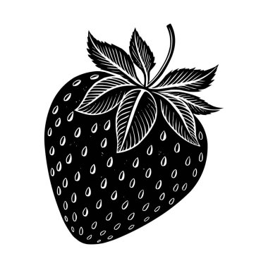 Siyah ve Beyaz Çilek Vektörü İllüstrasyon Vintage İşleme Biçimi