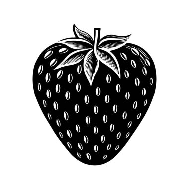 Siyah ve Beyaz Çilek Vektörü İllüstrasyon Vintage İşleme Biçimi