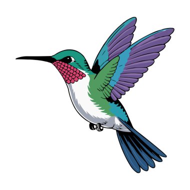 Beyaz Arkaplanda Renkli Sinekkuşu Vektör Resimleri İzole Edildi