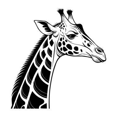 Stilize Zürafa Çizimi - Detaylı Zürafa Başı Çizimi