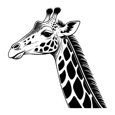 Stilize Zürafa Çizimi - Detaylı Zürafa Başı Çizimi