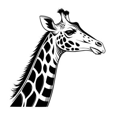 Stilize Zürafa Çizimi - Detaylı Zürafa Başı Çizimi