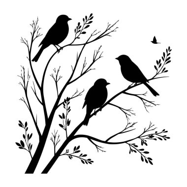 Ağaç dalındaki kuşlar siluet vektör illüstrasyonunda. Ağaç dallarına tünemiş kuşların zarif silüeti. Asgari siyah ve beyaz vektör çizimi doğa tasarımları için mükemmel