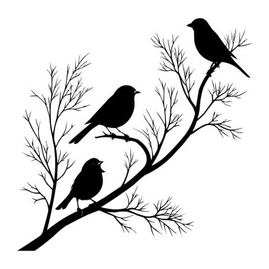 Ağaç dalındaki kuşlar siluet vektör illüstrasyonunda. Ağaç dallarına tünemiş kuşların zarif silüeti. Asgari siyah ve beyaz vektör çizimi doğa tasarımları için mükemmel
