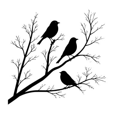 Ağaç dalındaki kuşlar siluet vektör illüstrasyonunda. Ağaç dallarına tünemiş kuşların zarif silüeti. Asgari siyah ve beyaz vektör çizimi doğa tasarımları için mükemmel