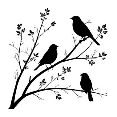 Ağaç dalındaki kuşlar siluet vektör illüstrasyonunda. Ağaç dallarına tünemiş kuşların zarif silüeti. Asgari siyah ve beyaz vektör çizimi doğa tasarımları için mükemmel