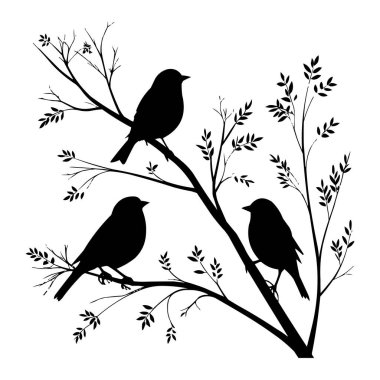 Ağaç dalındaki kuşlar siluet vektör illüstrasyonunda. Ağaç dallarına tünemiş kuşların zarif silüeti. Asgari siyah ve beyaz vektör çizimi doğa tasarımları için mükemmel