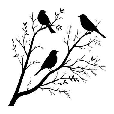 Ağaç dalındaki kuşlar siluet vektör illüstrasyonunda. Ağaç dallarına tünemiş kuşların zarif silüeti. Asgari siyah ve beyaz vektör çizimi doğa tasarımları için mükemmel