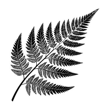 Beyaz Arkaplan Botanik Vektör İllüstrasyonuna Eğreltiotu Yaprağı Silueti İzole Edildi