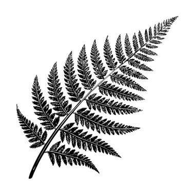 Beyaz Arkaplan Botanik Vektör İllüstrasyonuna Eğreltiotu Yaprağı Silueti İzole Edildi