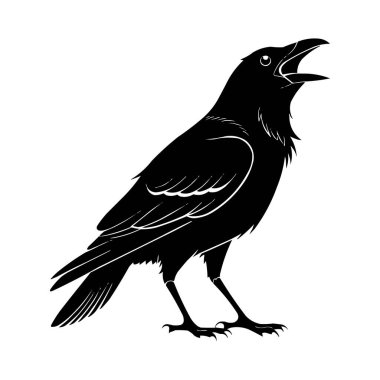 Karga Silueti Vektörü Siyah Karga Kuş Resimleri Beyazda İzole Edildi