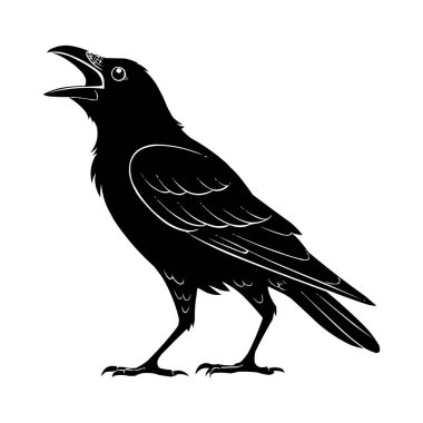 Karga Silueti Vektörü Siyah Karga Kuş Resimleri Beyazda İzole Edildi