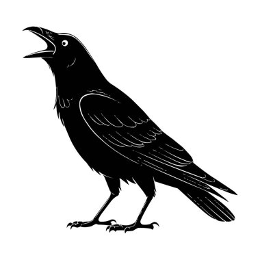 Karga Silueti Vektörü Siyah Karga Kuş Resimleri Beyazda İzole Edildi
