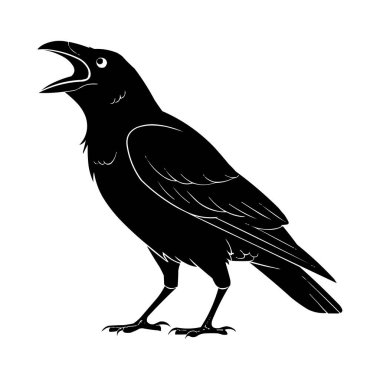 Karga Silueti Vektörü Siyah Karga Kuş Resimleri Beyazda İzole Edildi
