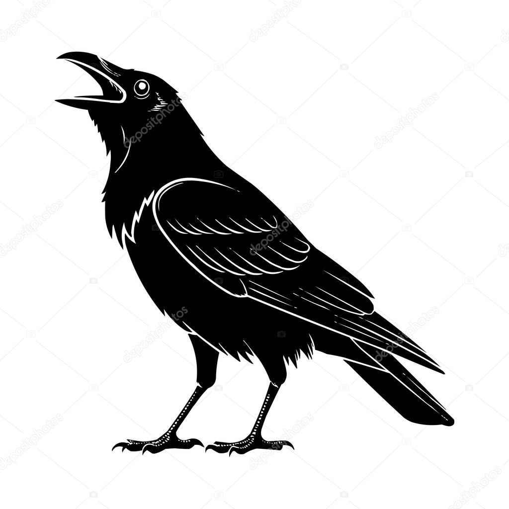 Crow Silhouette Vector  Black Raven Bird Illustration Isolated on White