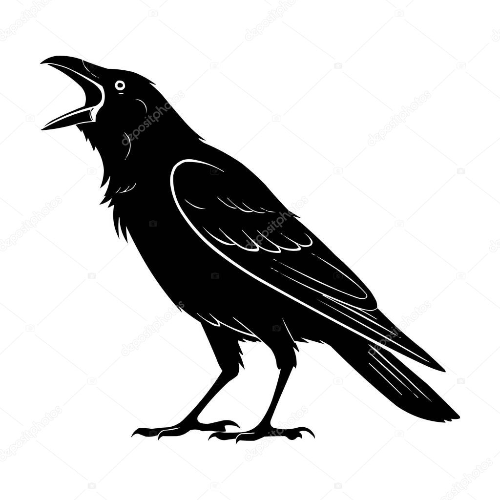 Crow Silhouette Vector  Black Raven Bird Illustration Isolated on White