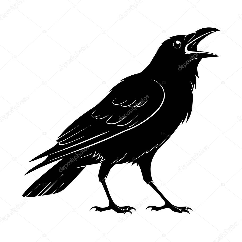 Crow Silhouette Vector  Black Raven Bird Illustration Isolated on White