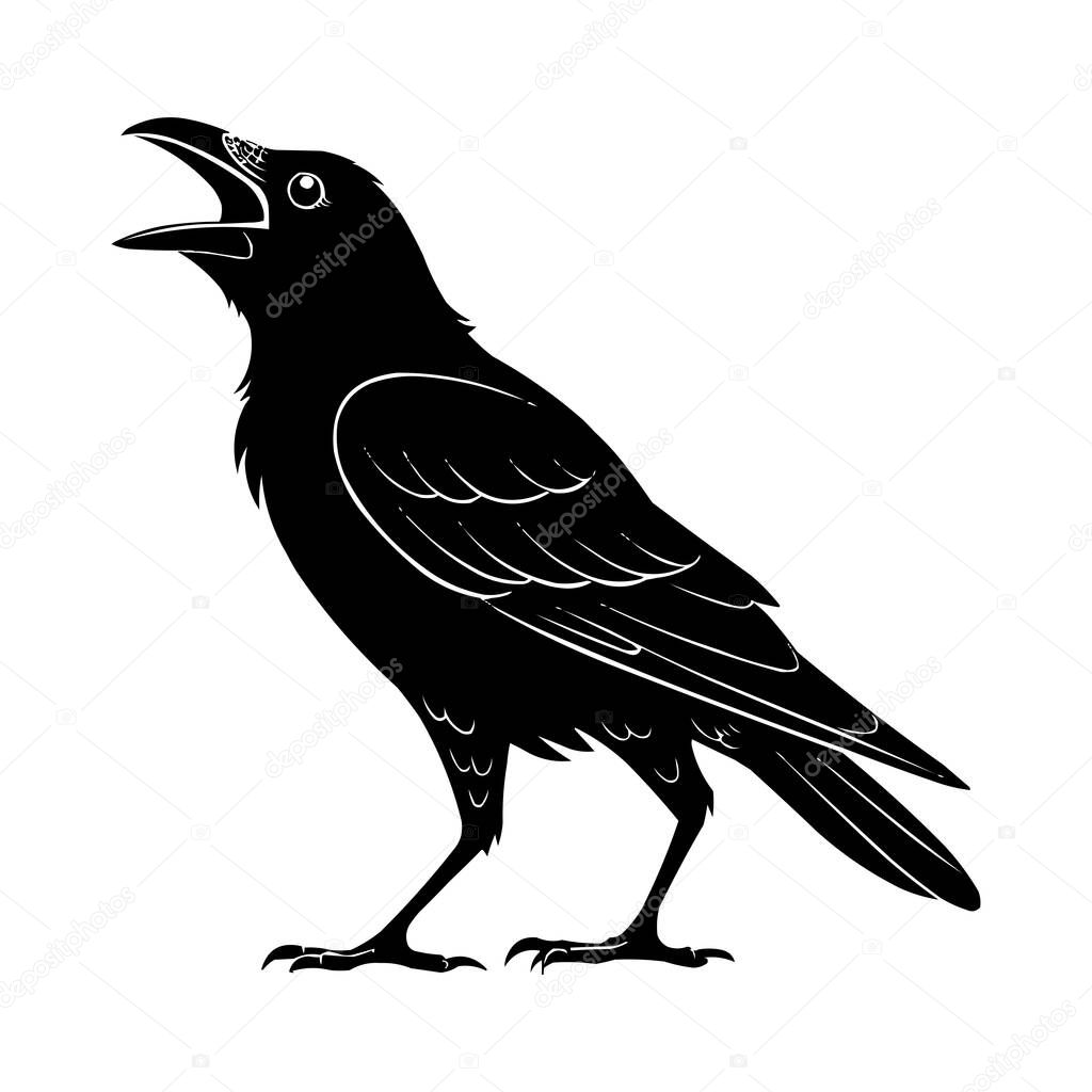 Crow Silhouette Vector  Black Raven Bird Illustration Isolated on White