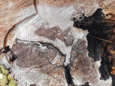 eski ahşap dokulu ve çatlaklar